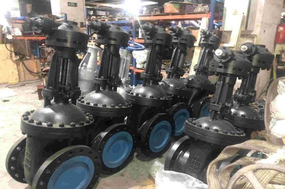 Solusi Perumahan Globe Steel Valve untuk penggunaan komersial