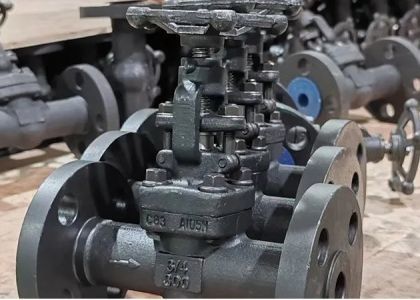 Kelas 150lb-1500lb katup gerbang baja dengan pengoperasian manual bonet berbolt