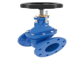 150lb sampai 1500lb Kelas Tekanan Bolted Bonnet Steel Gate Valves