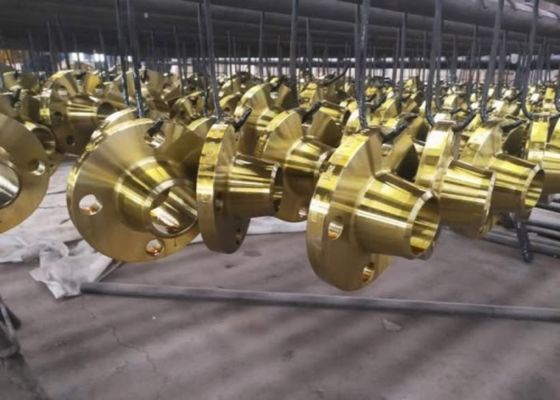 Slip On Welding Steel Pipe Flanges Untuk Sambungan Diafragma NBR/Viton