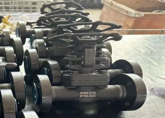 1/2 Inch Steel Valves Dengan Bolted Bonnet Body Style Dan ODM Customized Support