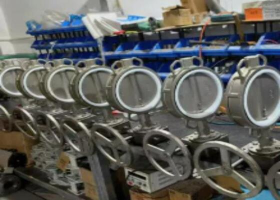 1/2 Inch Bolted Bonnet Butterfly Valve dengan Operasi Manual untuk Ketahanan dan Kinerja