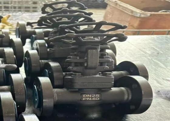 Katup Gerbang Baja Manual Dengan Bonnet Berbaut DN10-DN50 150lb-1500lb Ketahanan Korosi Tinggi