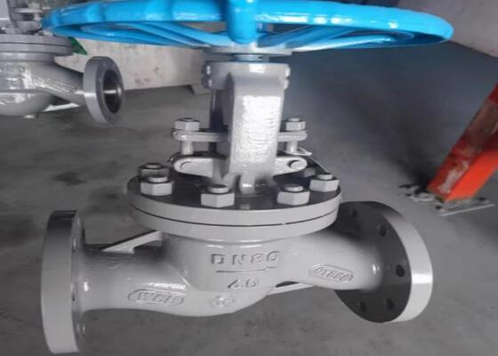 Katup Baja DN10-DN50 Dengan Operasi Manual Dan Tudung Baut Untuk Pemasangan Mudah